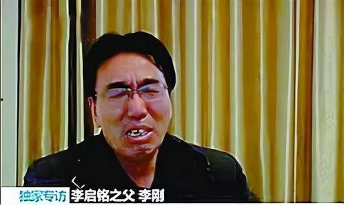 我爸是李刚 视频,揭秘网络热传视频背后的故事